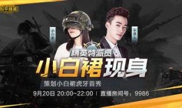 和平精英最新粉裙子爆料,时尚潮流引领战场新风尚